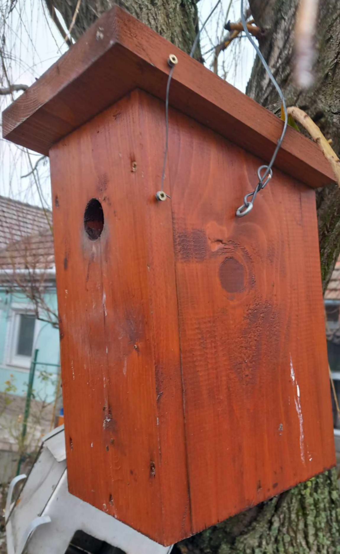 Madárodú