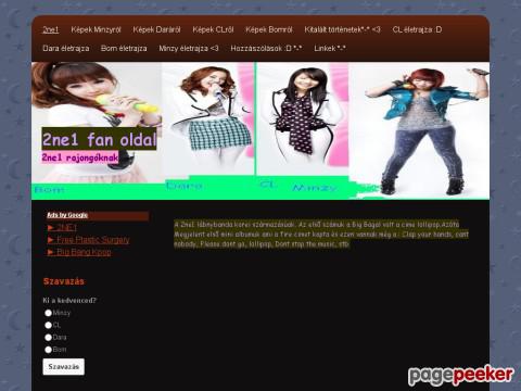 2ne1fan