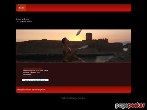 Adamsgroup - circus performers