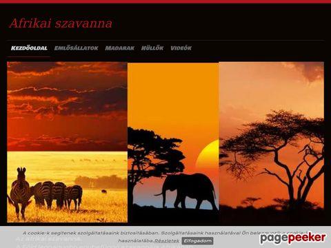 Afrikaiszavanna