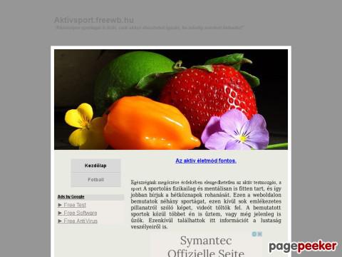 Aktivsport