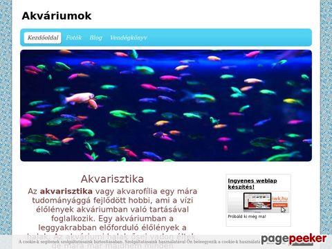 Akvariumocska