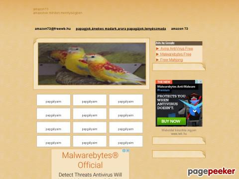 Amazon73 - google,mozzila firefox,expoler