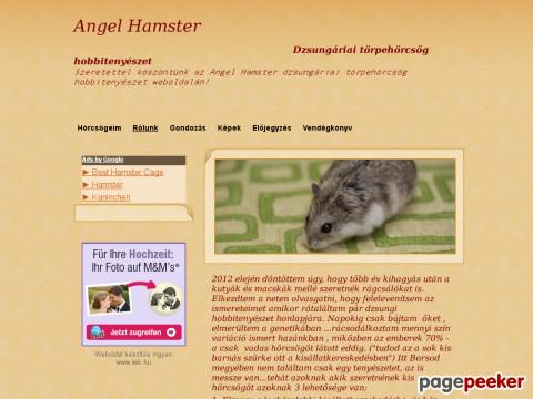 Angelhamster