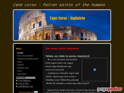 Angioleto - Patron saints of the people