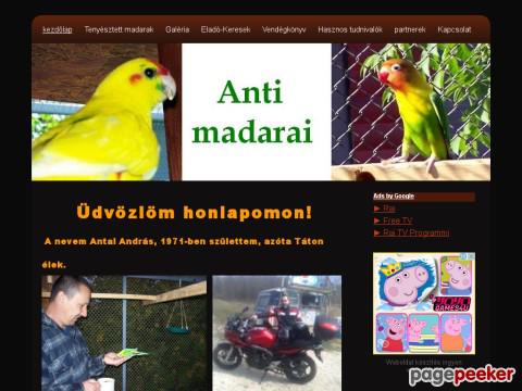 Antimadarai - Anti madarai