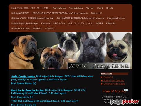 Apolloorzoje - Hírek