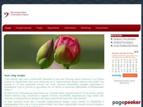 Bachviragterapia - bachvirag