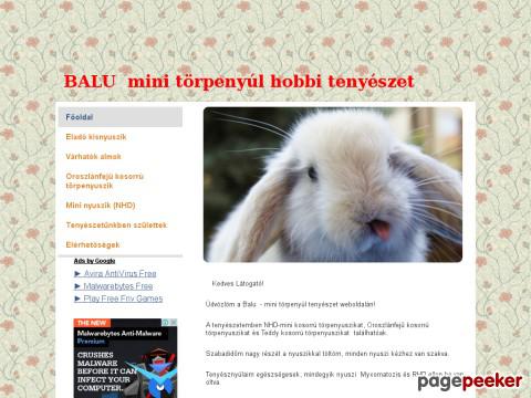 Balunyultenyeszet - balu törpenyúl tenyészet