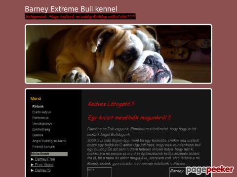 Barney
