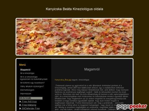 Beakineziologia
