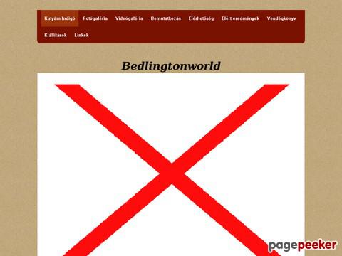 Bedlingtonworld - indigó,bedlington,bedli,kutya,dog,kiállítás,ma ...