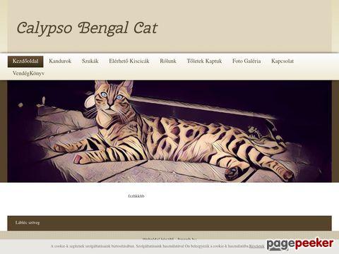 Bengalcat