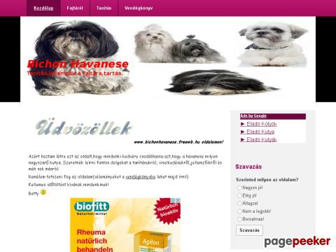 Bichonhavanese