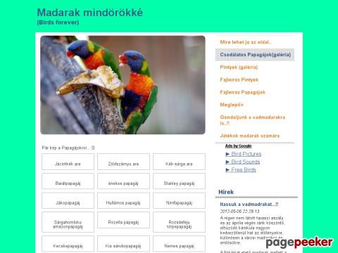 Bird