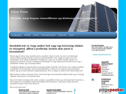 Biznicc - SiteTalk