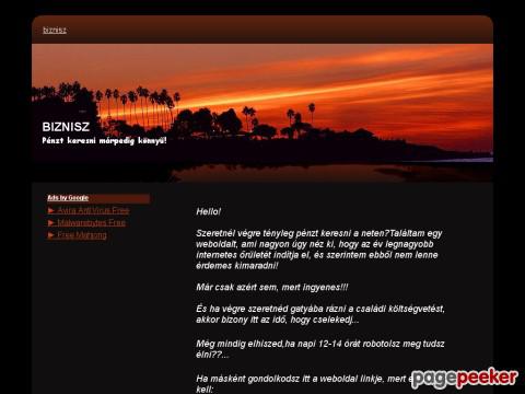 Biznisz - biznisz,netes munka,penz,money