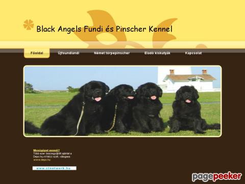 Blackangels - újfundlandi, fundi, newfoundland