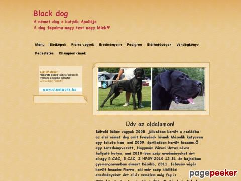 Blackdog - Black dog