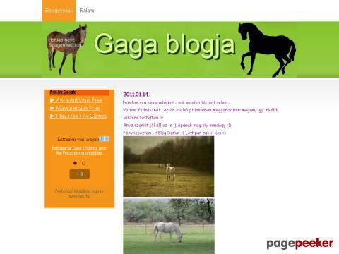 Blogom - Gaga blogja