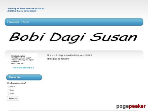 Bobidagisusan