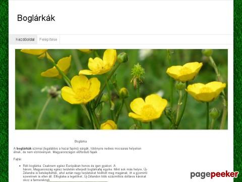 Boglarkak