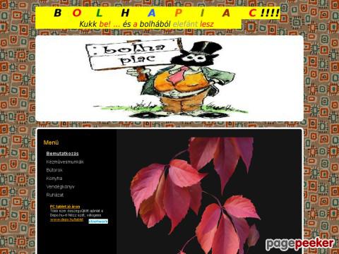 Bolhapiac - Google