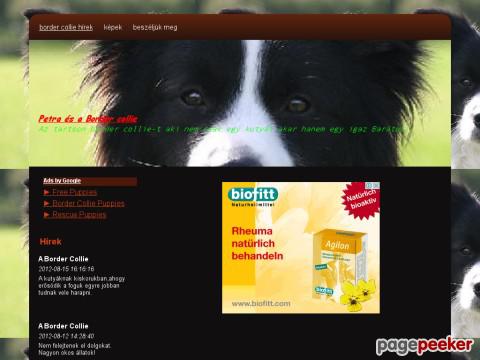 Bordercollie - Border collie