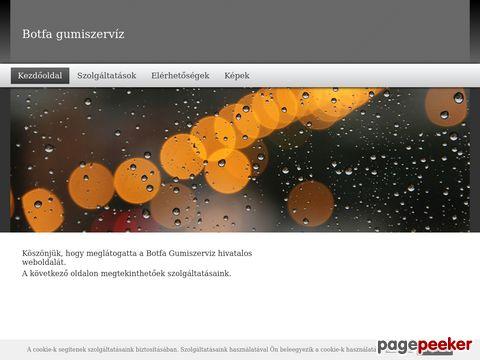 Botfagumiszerviz