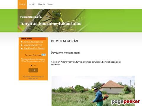 Bozotirtas - fűkaszálás,bozótirtás,ingyenes