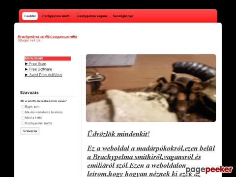 Brachypelma