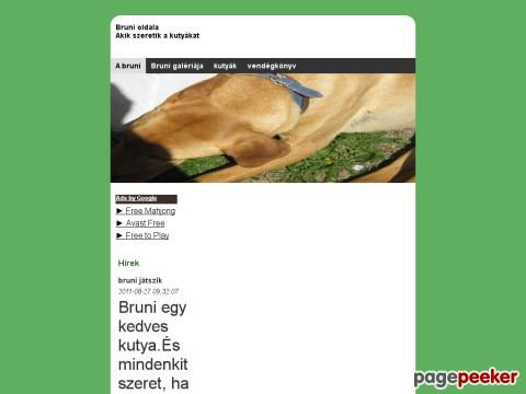 Bruniroky