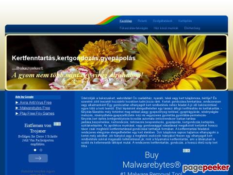 Bukszuskert - kertimunka,tereprendezés,növény,bukszus,kert,f ...