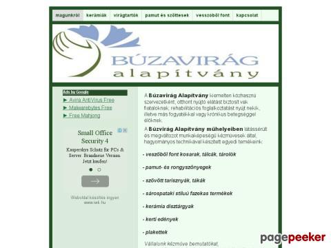 Buzaviragshop