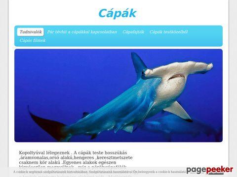 Capak-tengerbiologia
