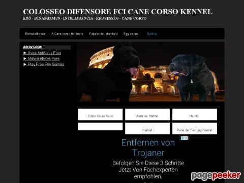 Ccdifensore