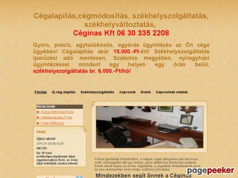 Ceginas