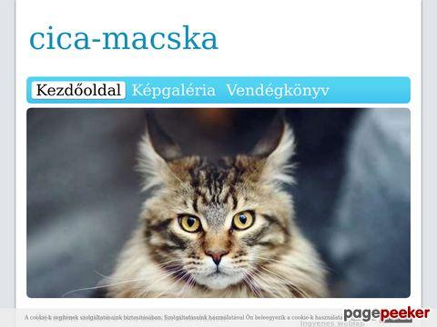 Cica-macska