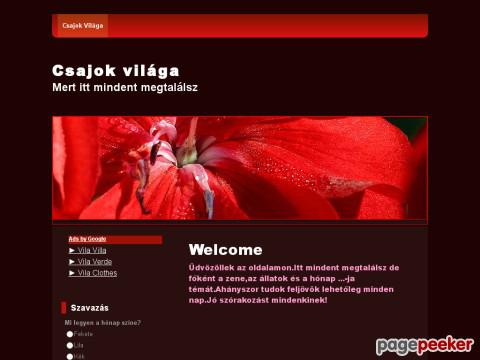 Csajokvilaga