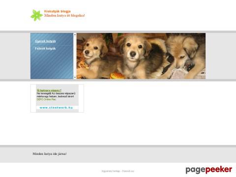 Cukikutyak - Kutyák (1-4 éves korig)