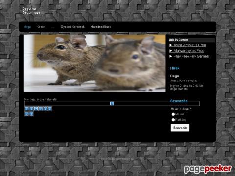 Degu