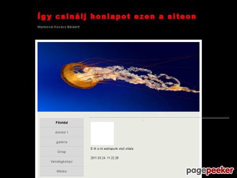 Dinamikusweb - halyó