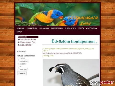 Diszmadaraim - DÍSZMADARAIM Kalikó lapja