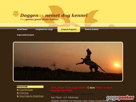 Doggenus - Doggenus német dog kennel Hírek/News
