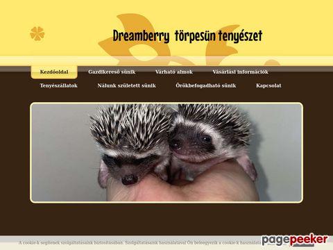 Dreamberryhedgies