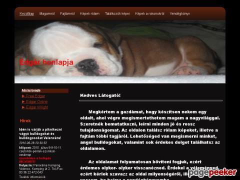 Edgar - edgár edgar angol bulldog bulldog