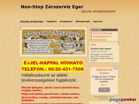Egerzarszerviz