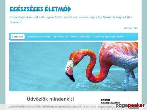 Egeszsegeslegy