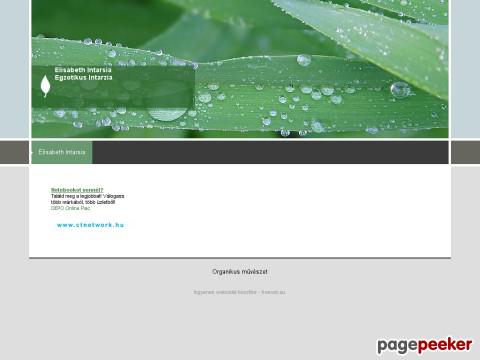 Egzotikusintarzia - Google