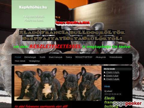 Eladofranciabulldogok - eladó francia bulldog kiskutya